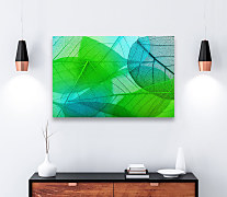 Obraz Zelené listy zs1272